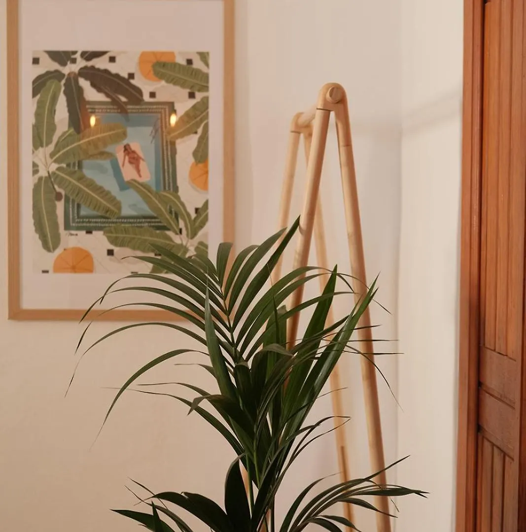 Casa Cactus - Heated Pool And Only 5 Boutique Apartments 이코드레로스비노스