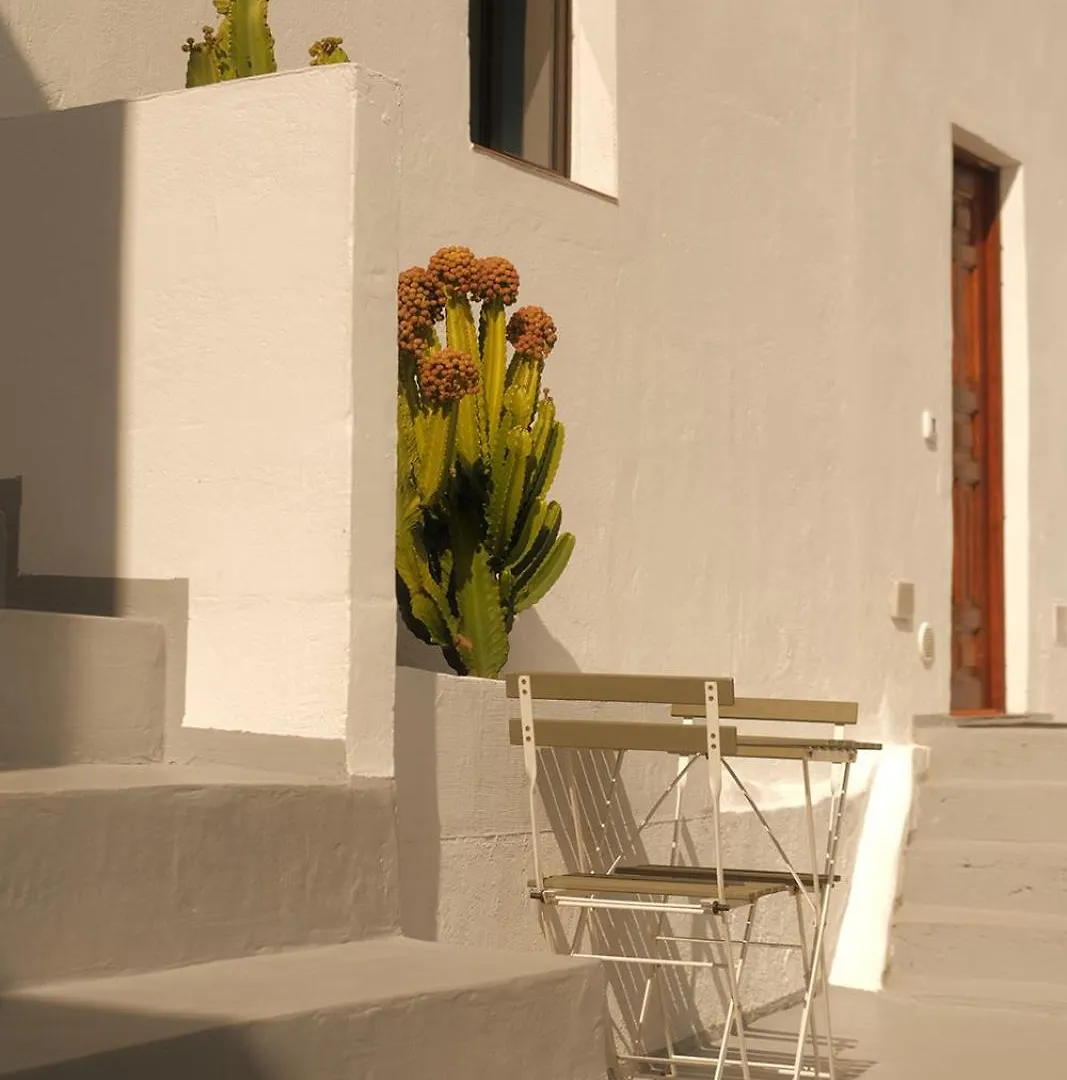 Casa Cactus - Heated Pool And Only 5 Boutique Apartments 이코드레로스비노스