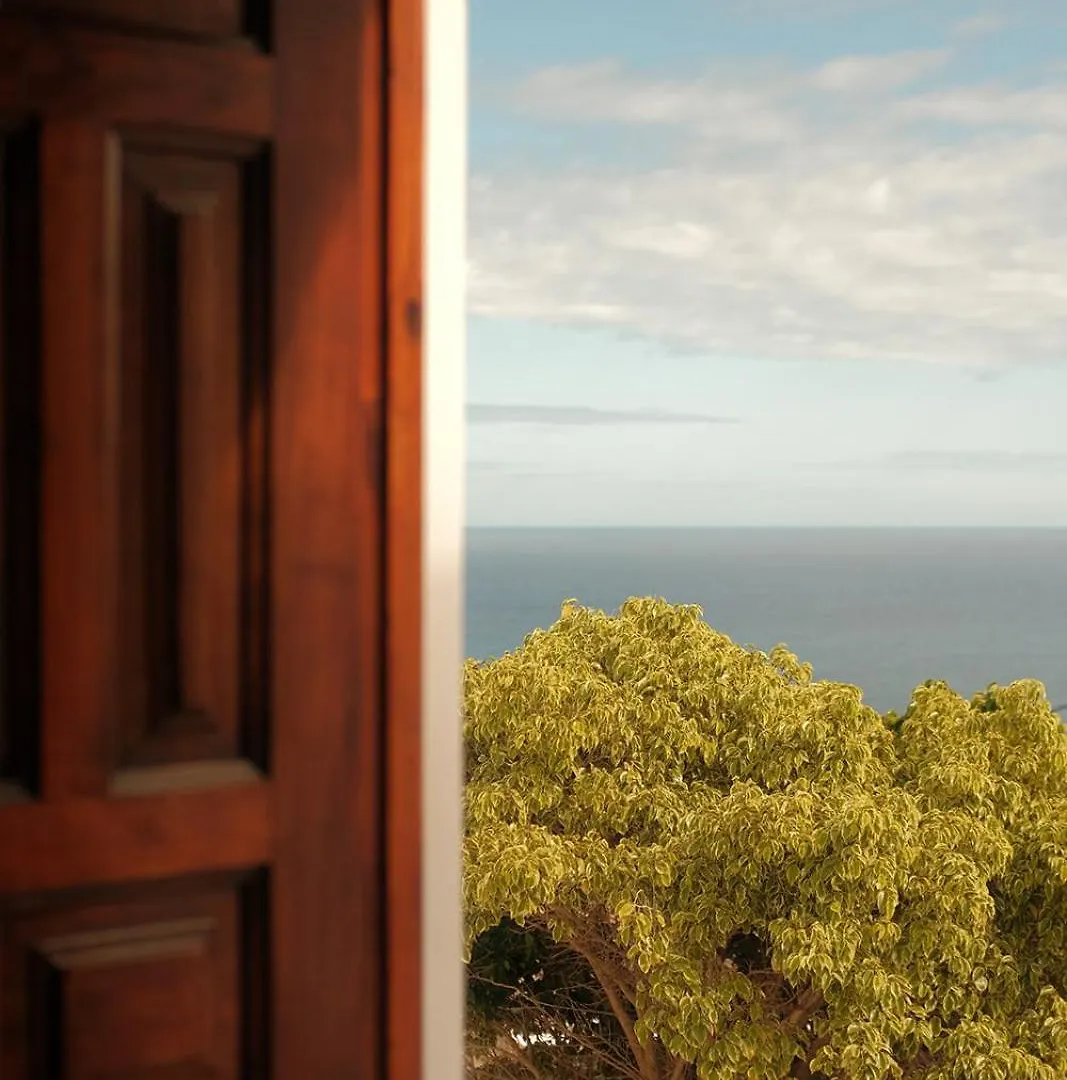 Casa Cactus - Heated Pool And Only 5 Boutique Apartments 이코드레로스비노스