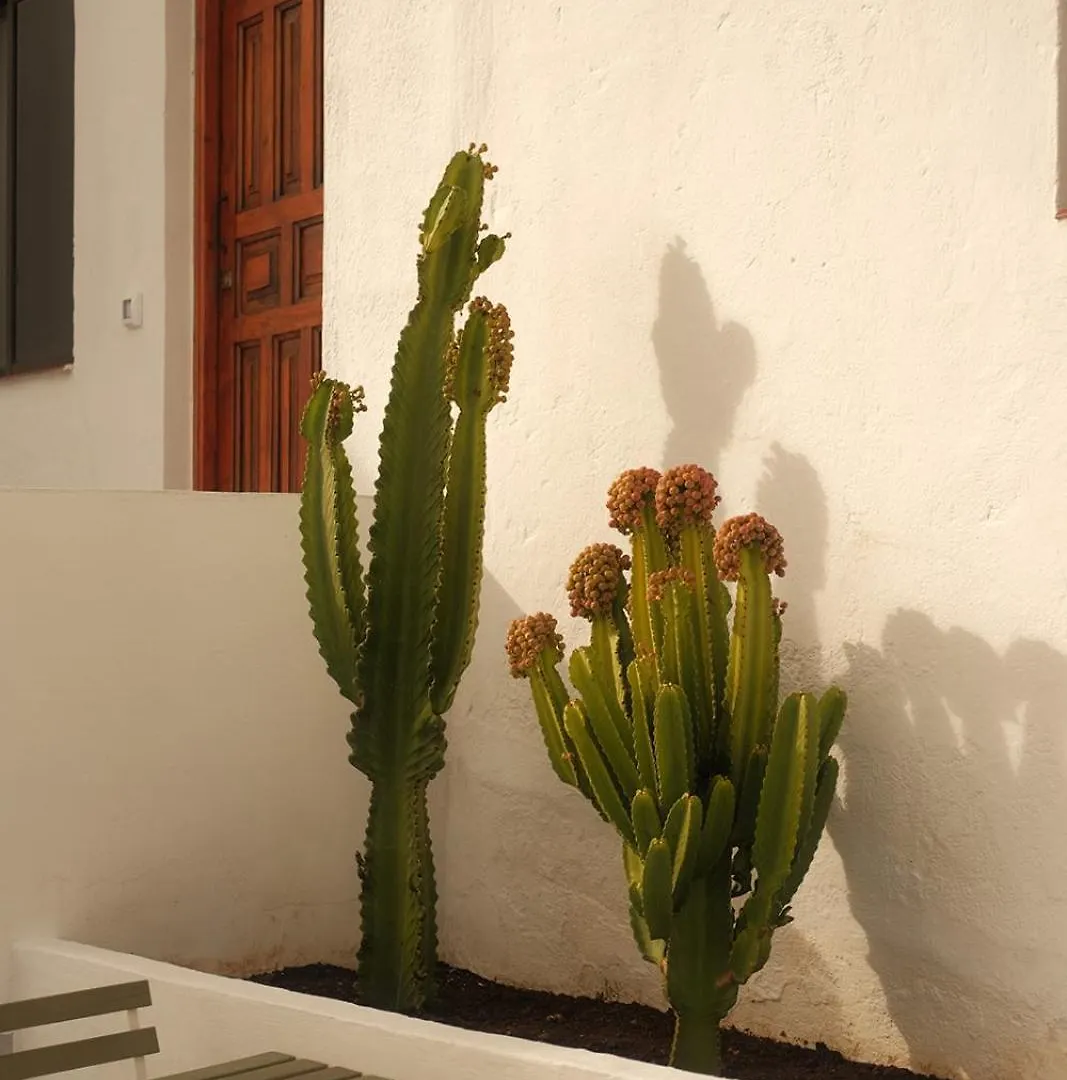 Casa Cactus - Heated Pool And Only 5 Boutique Apartments 이코드레로스비노스 스페인