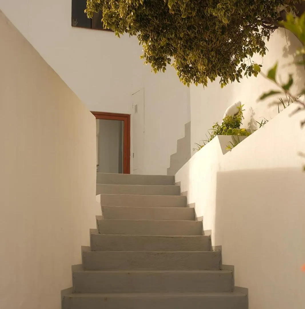 Casa Cactus - Heated Pool And Only 5 Boutique Apartments 이코드레로스비노스
